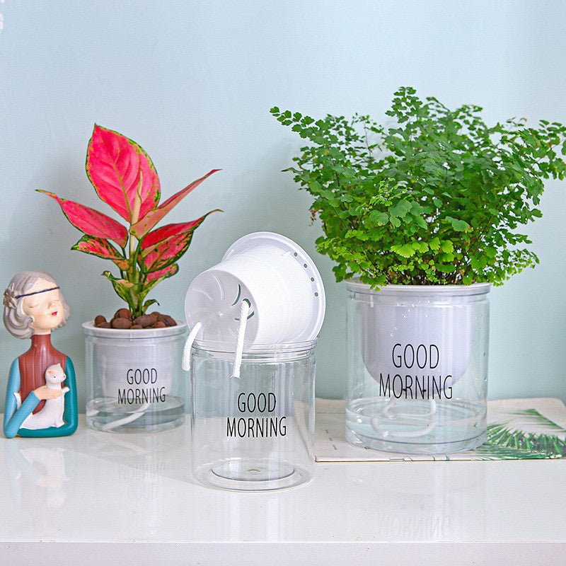 Transparent Plastic Flower Pot Small Pack - Garden & Planting Supplies