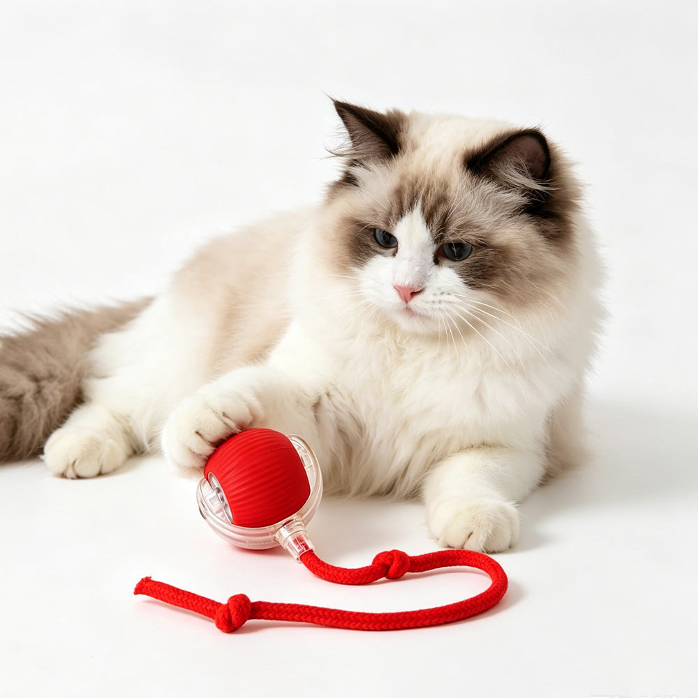 Interactive Electric Pet Ball Toy for Cats and Dogs - Indoor/Outdoor Rolling Playset
