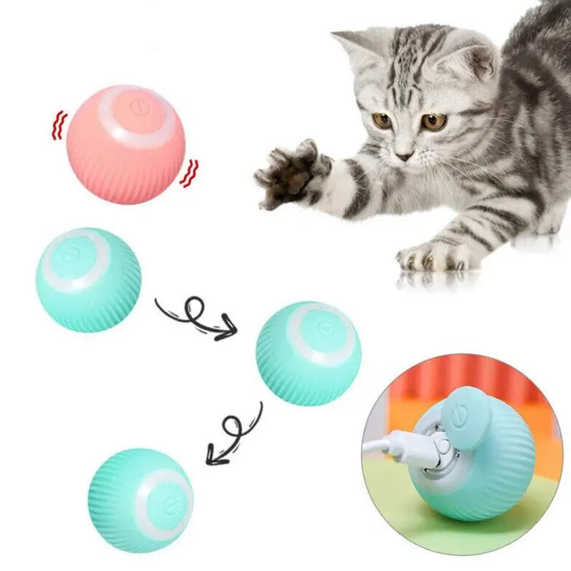 Interactive Electric Pet Ball Toy for Cats and Dogs - Indoor Outdoor Rolling Fun