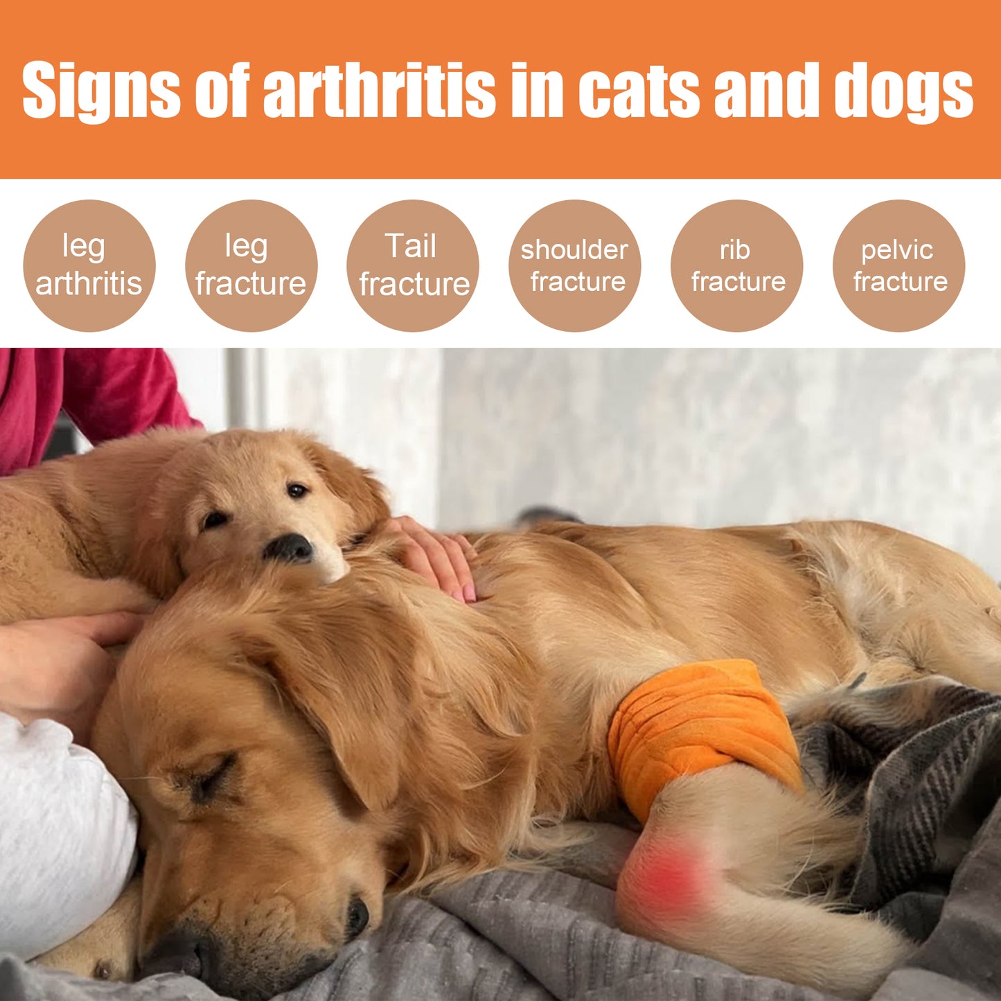 Pet Joint Support Oil for Dogs & Cats - 30ml Relief & Mobility Supplement