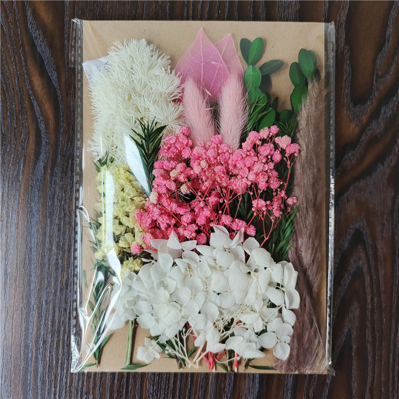 Dried Flower Material Pack for Candle & Photo Frame Decoration - Multiple Styles