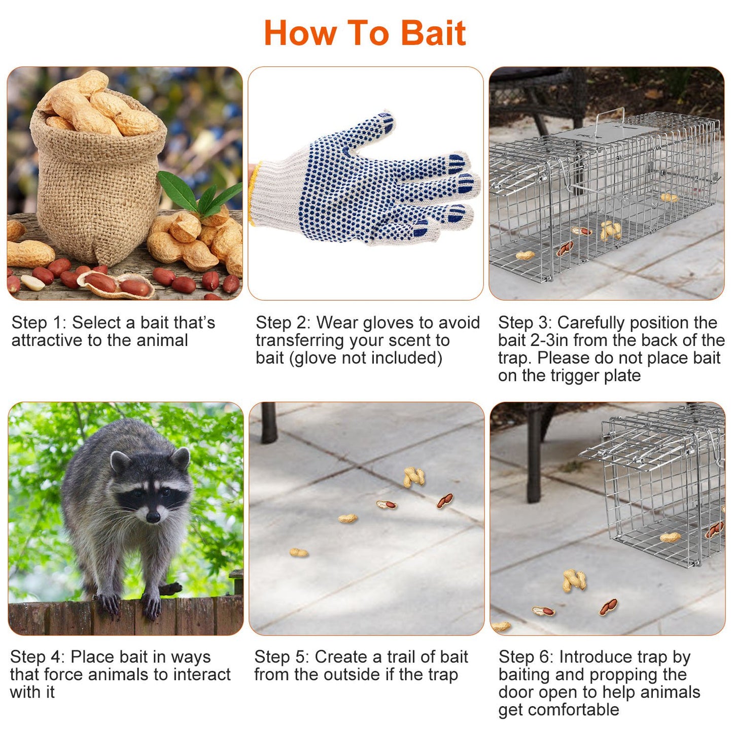 Humane Live Animal Trap Cage - Collapsible Wire for Small Animals