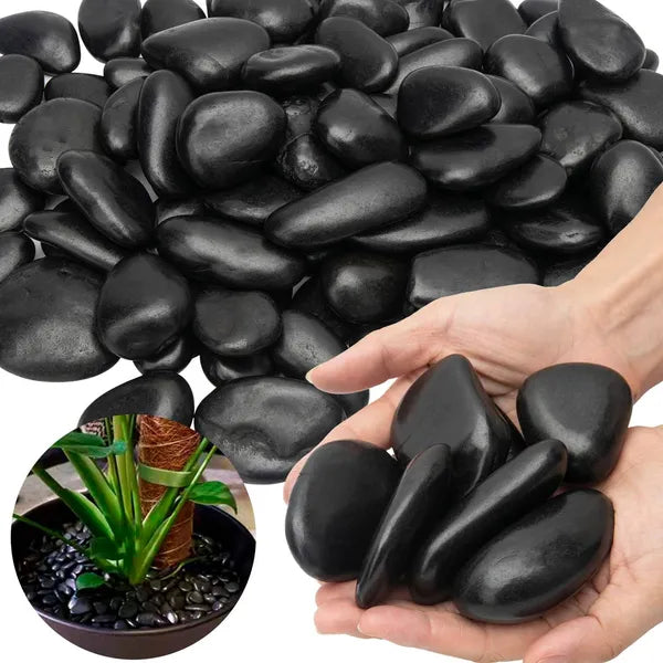 Premium Black River Rocks - 2-3 Inch Polished Pebbles, 38lbs