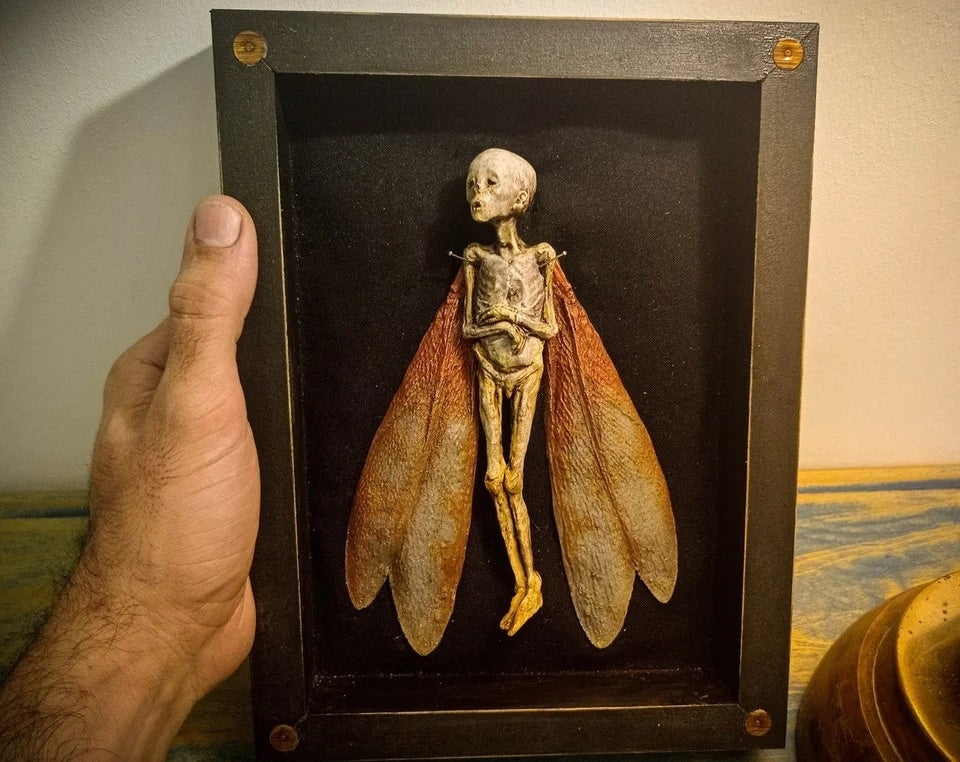 Halloween Shadow Box Decor with Dead Fairy Scene Wooden Ornament Black