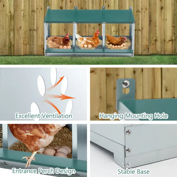 Galvanized Steel Chicken Nesting Boxes with 3 Compartments, Easy Assembly