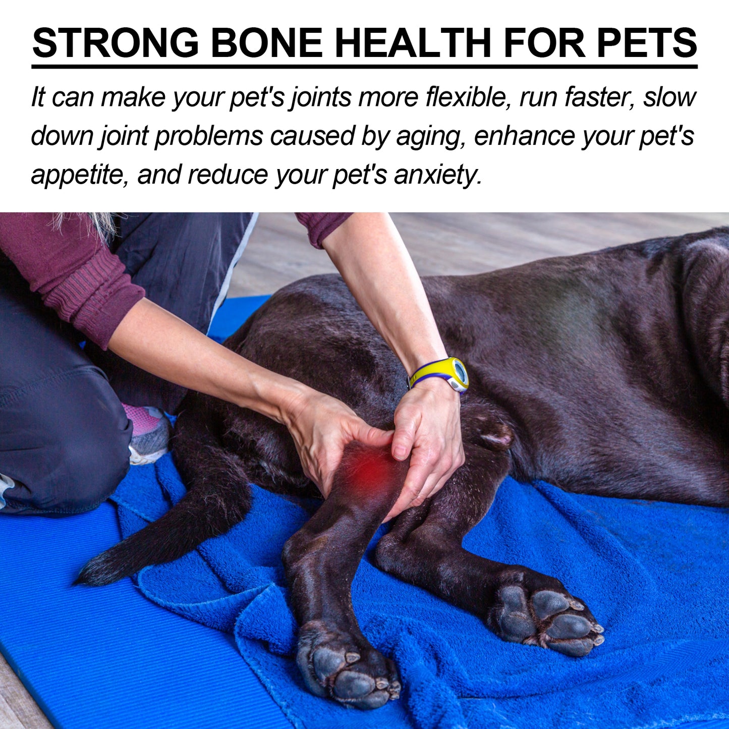 Pet Joint Support Spray for Dogs & Cats - Natural Relief & Mobility Aid