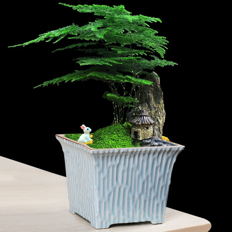 Ceramic Succulent Flowerpot with Ge Kiln Design for Indoor & Outdoor Plants