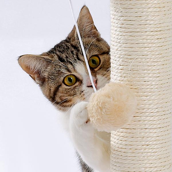 Indoor Cat Scratching Post and Interactive Toy Track Set - Small Cats