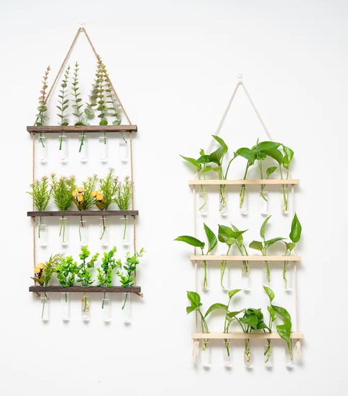 Hydroponic Glass Test Tube Rack with Wooden Stand - Modern Minimalist Decor