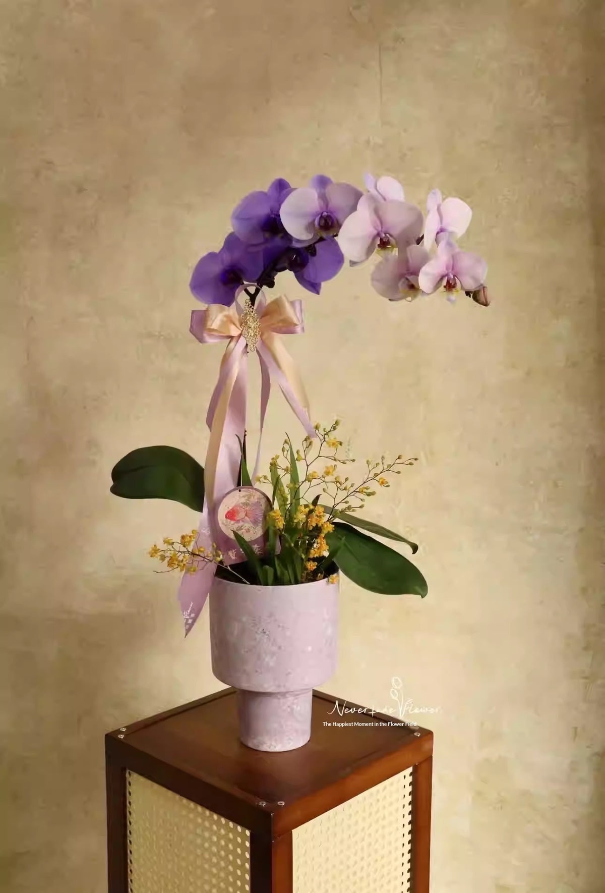 Tall Ceramic Flower Pot for Indoor Decor - Modern Home Garden Planter