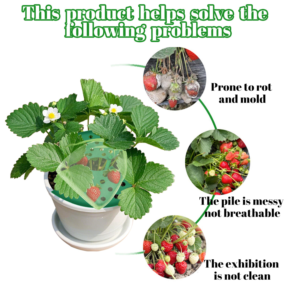 8 Pack Strawberry Plant Supports with Bags Garden Supports Green