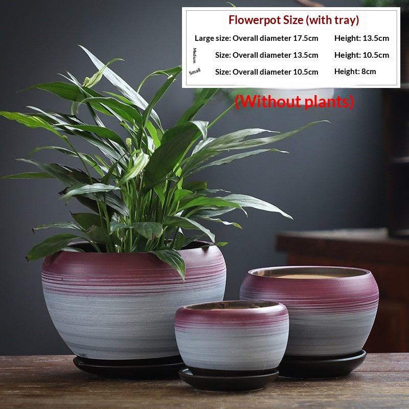 Minimalist Succulent Pot Set - Breathable, Durable Terracotta Planters with Trays