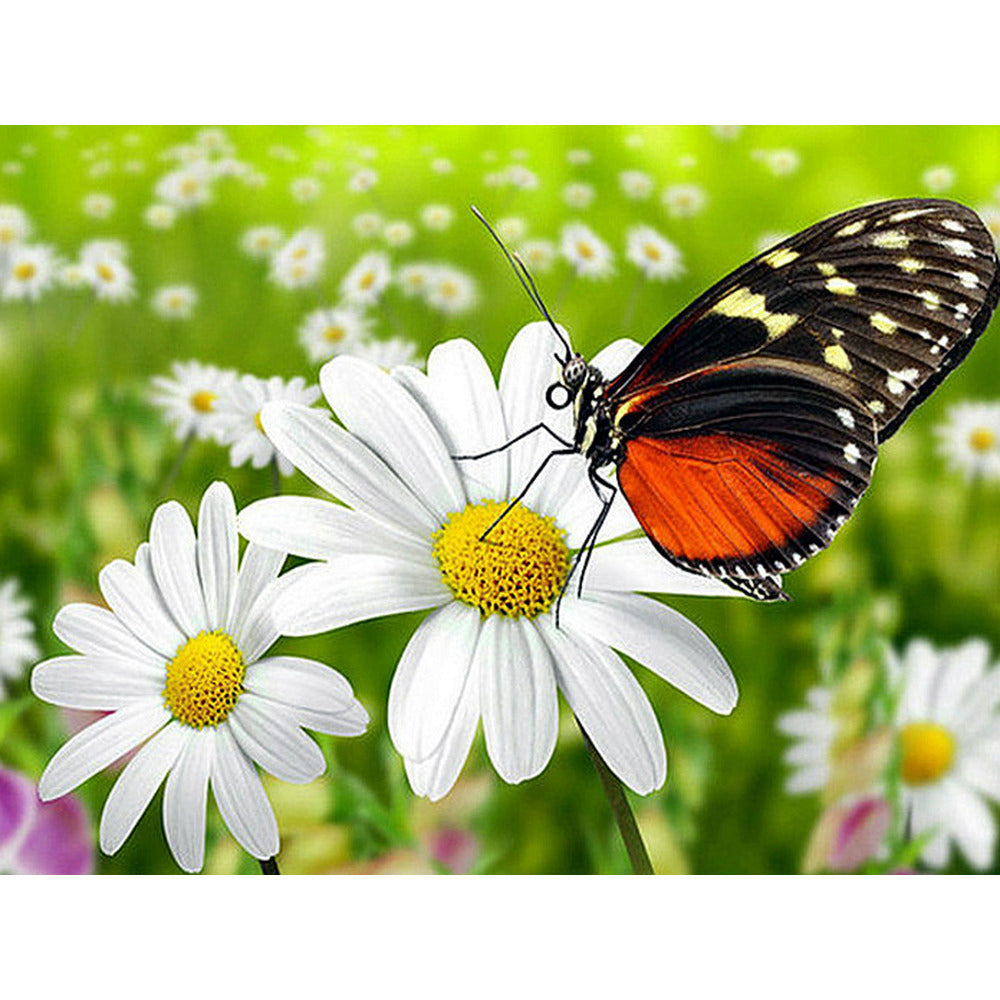 DIY Diamond Painting Butterfly Cross Stitch Kit Full Animal Design - Multiple Sizes & Styles