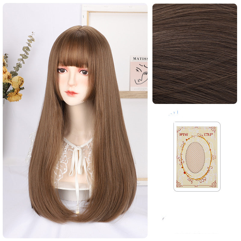 Long Straight Synthetic Wig - 60cm Hair Net