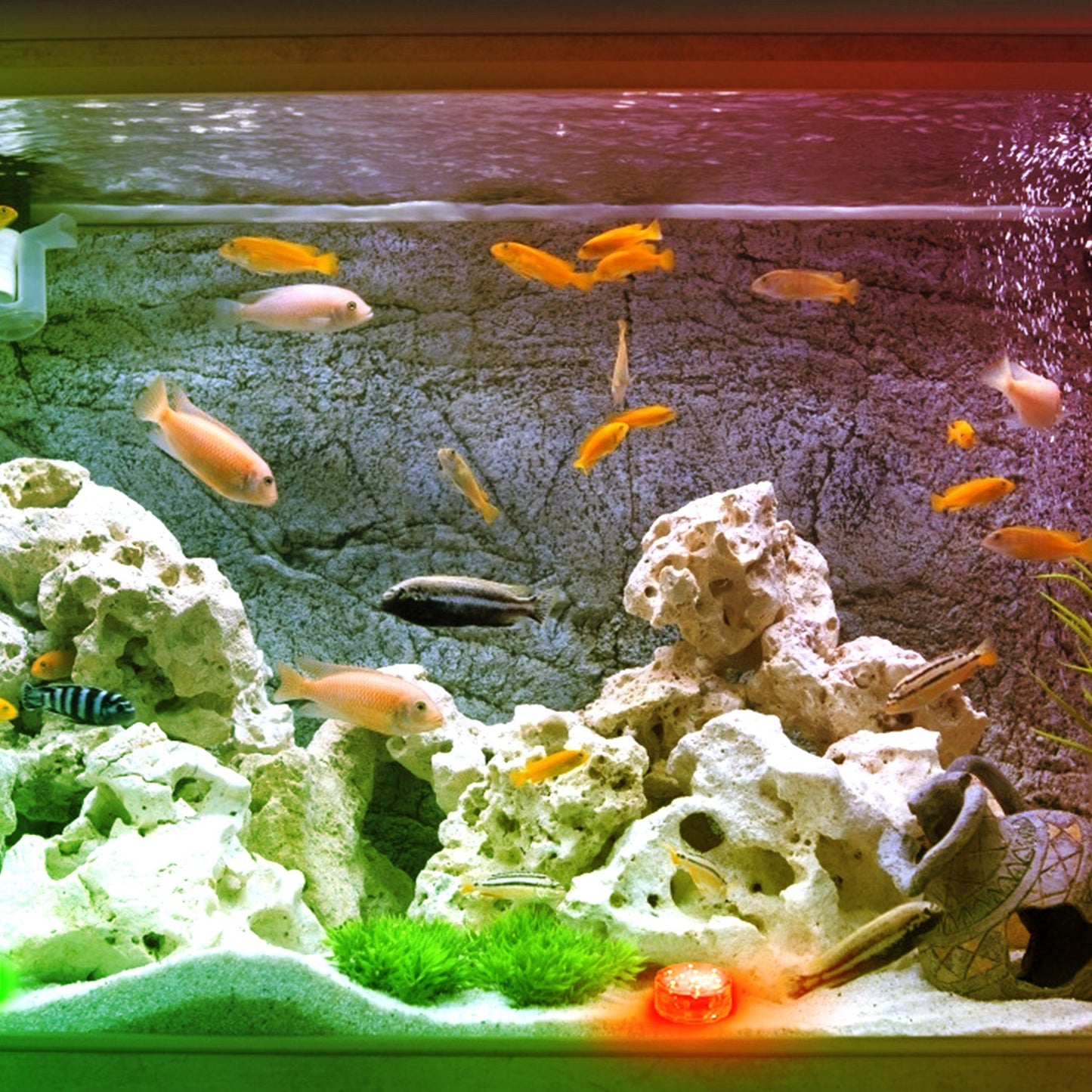 RGB Underwater Pool Lights 4-Pack with Remote Waterproof Submersible LED Decor