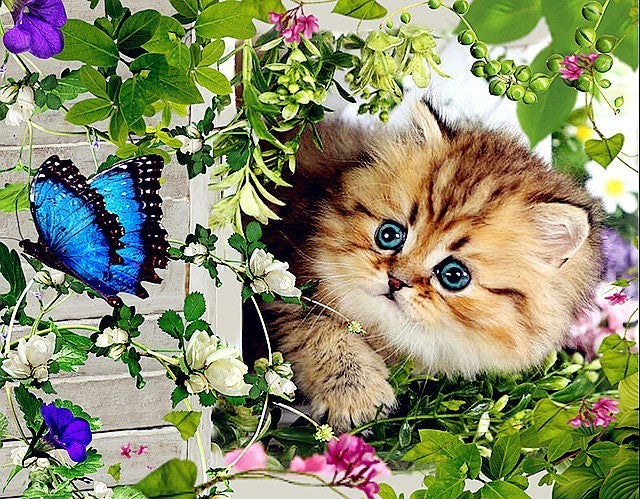 Diamond Painting Kit for Home Decor - Animal Rhinestone Art, Multiple Sizes & Styles