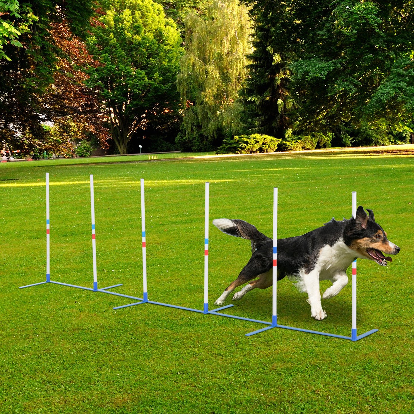 Dog Agility Weave Pole Set for Training & Exercise - Outdoor Pet Kit