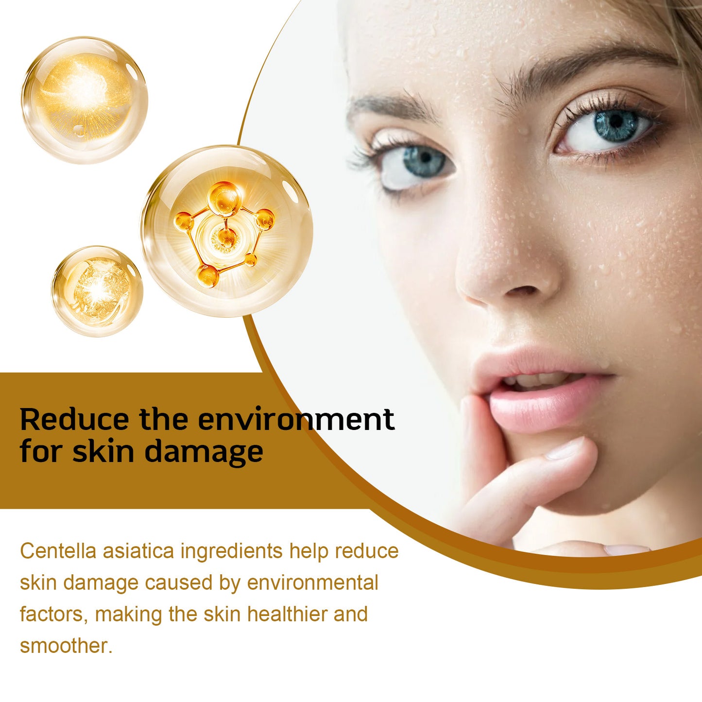 Centella Asiatica Hydrating Serum - Moisturizing Facial Essence for Dry Skin