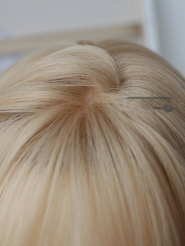 Long Straight Cosplay Wig with Care Set