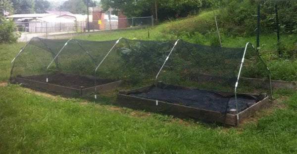 6ft x 20ft Black Shade Net Fabric for Enhanced Plant Growth