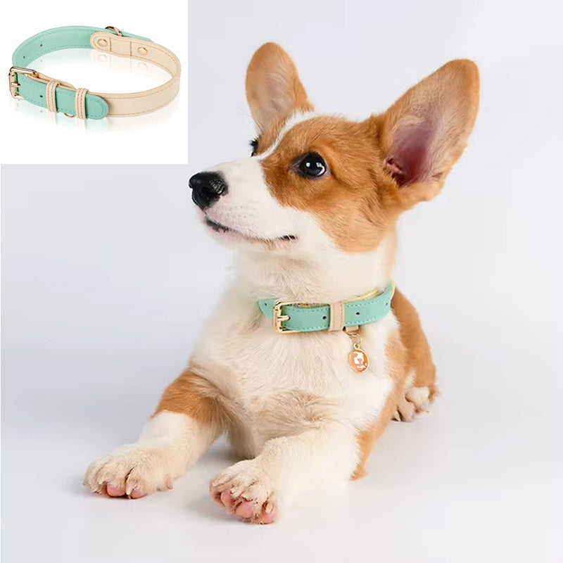 Adjustable Leather Dog Collar - Lightweight & Durable Pet Accessory for Small, Medium & Large Dogs