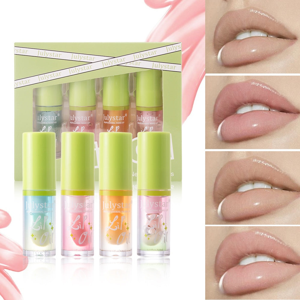Moisturizing Lip Gloss Set - 4 Pack, 4.8ml Each, Universal Skin