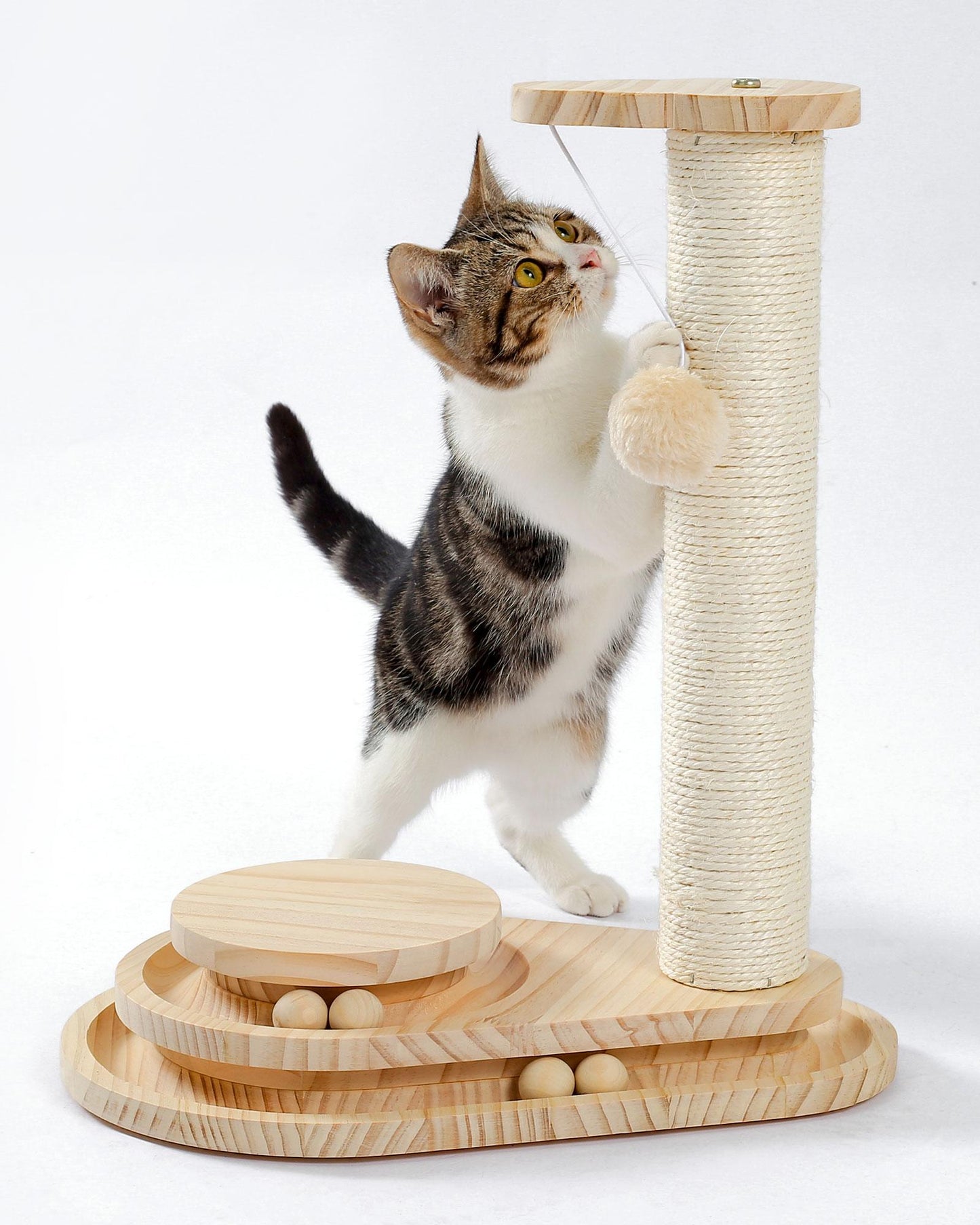 Indoor Cat Scratching Post and Interactive Toy Track Set - Small Cats