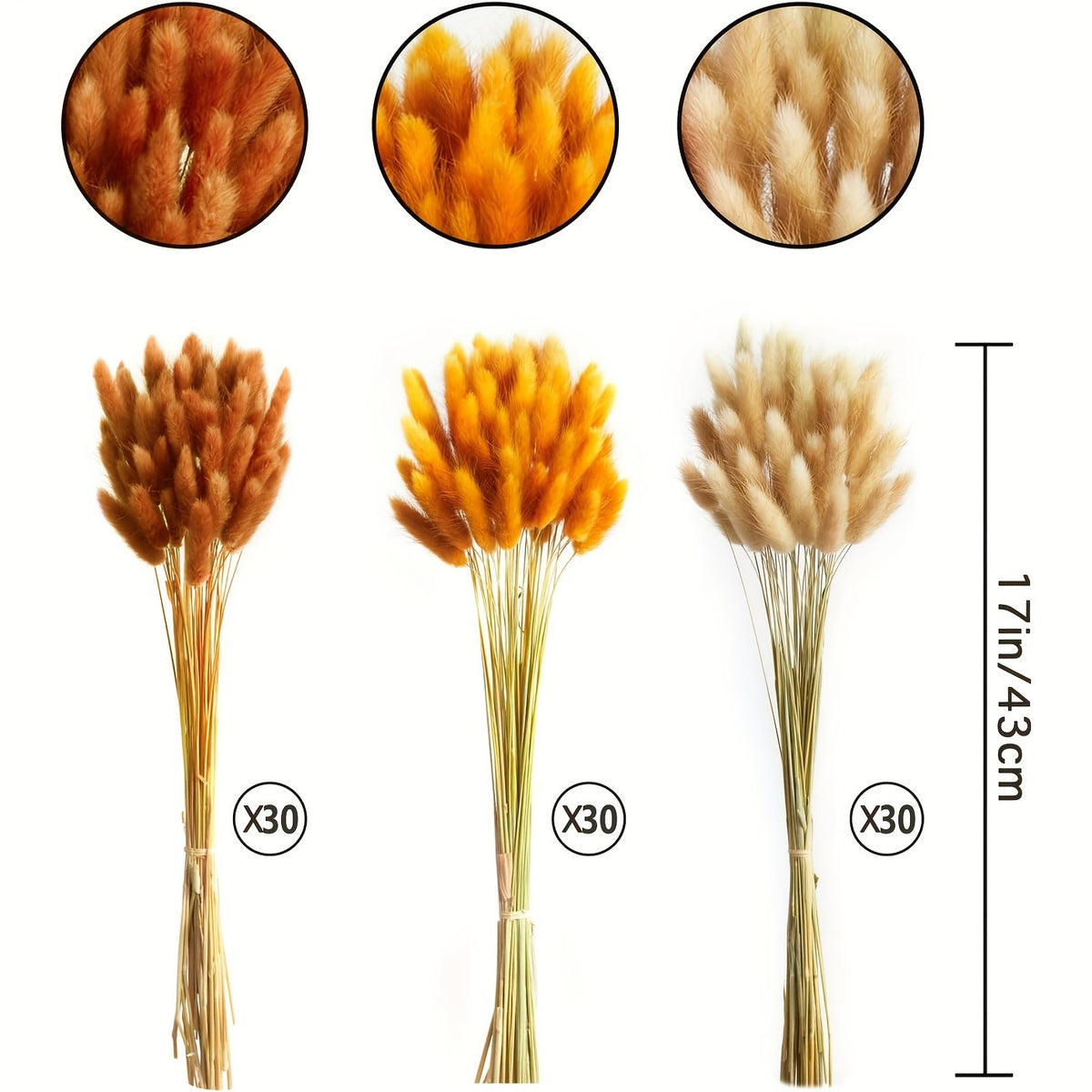 Dried Flower Bouquet - Preserved Grass Flower Arrangement for Home Decor