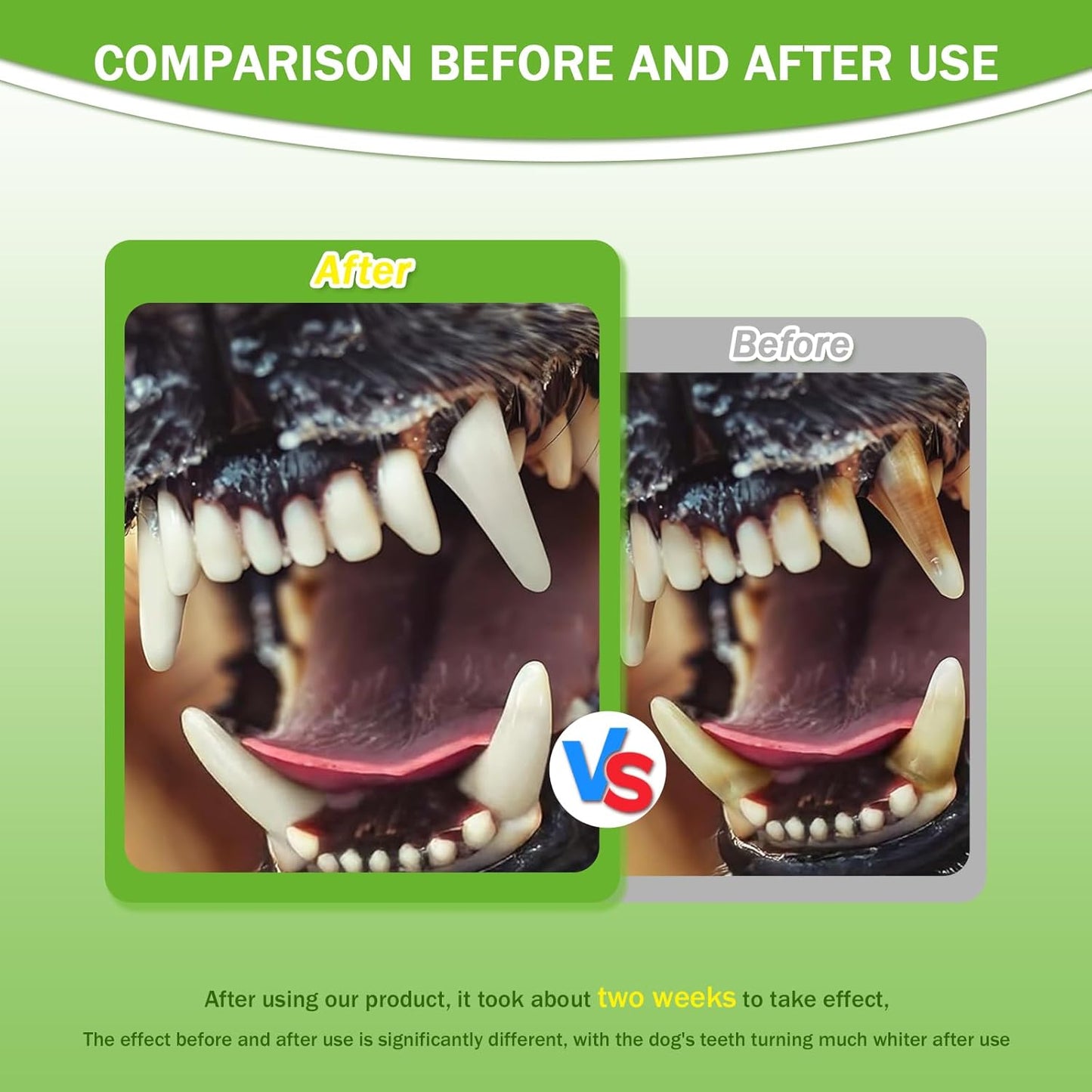 Pet Dental Powder for Fresh Breath & Gum Health - 1PC