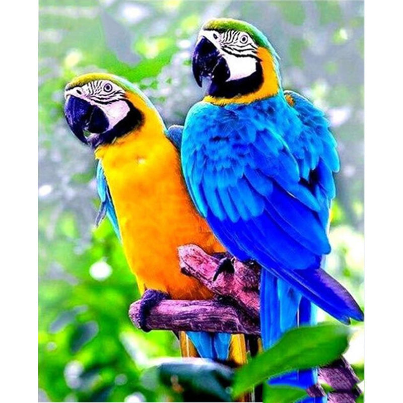 Diamond Painting Kit Bird Parrot Animal Art Cross Stitch Home Decor