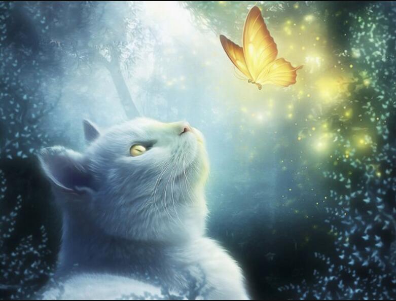 Diamond Painting Cross Stitch Kit for Home Decor - Butterfly Animal Design