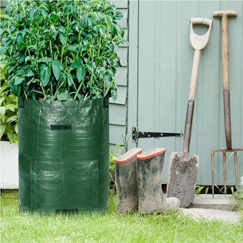 10 Gallon Potato Grow Bags 6 Pack Heavy Duty Garden Plant Containers with Handles