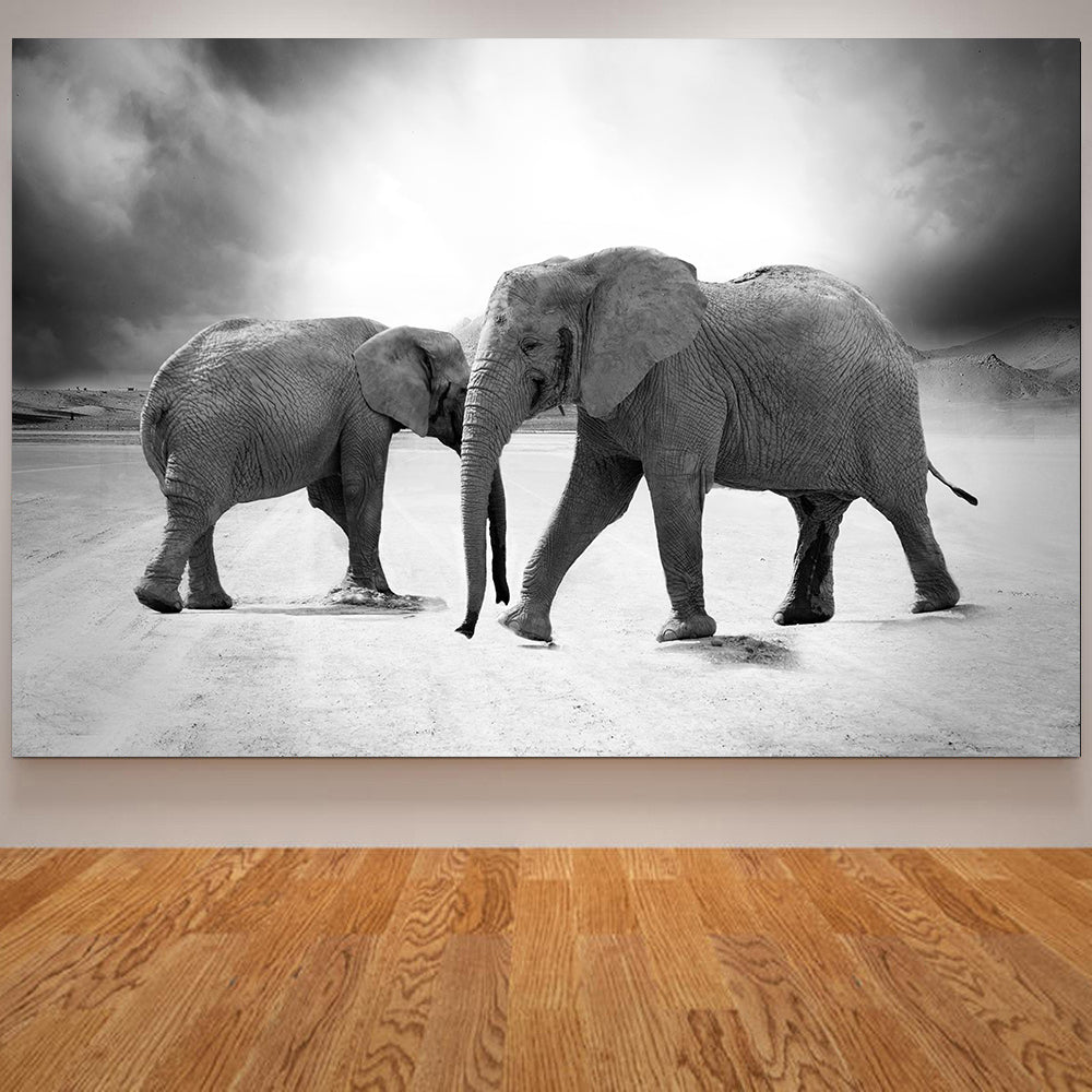 Elephant Wall Art Poster Canvas Print Black and White Animal Decor