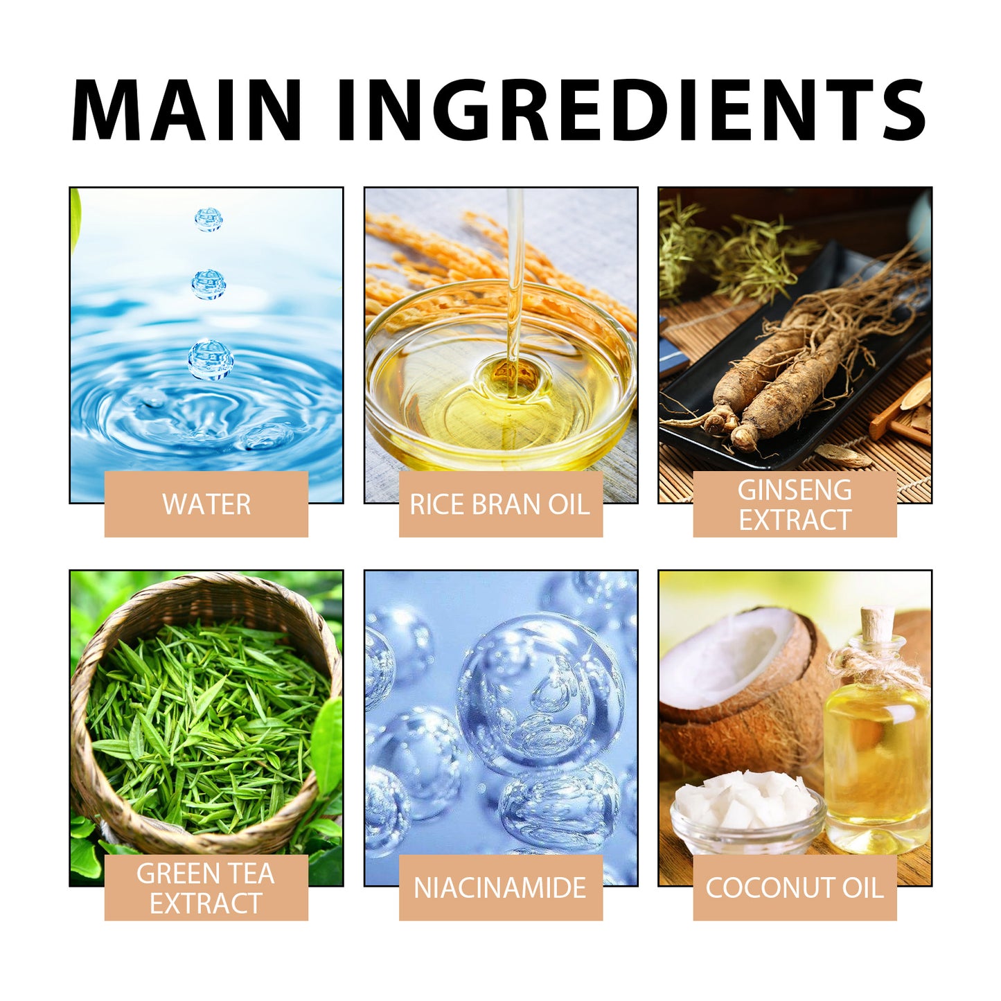Rice Moisturizing Face Cream with Ginseng & Green Tea Extract - 50ml