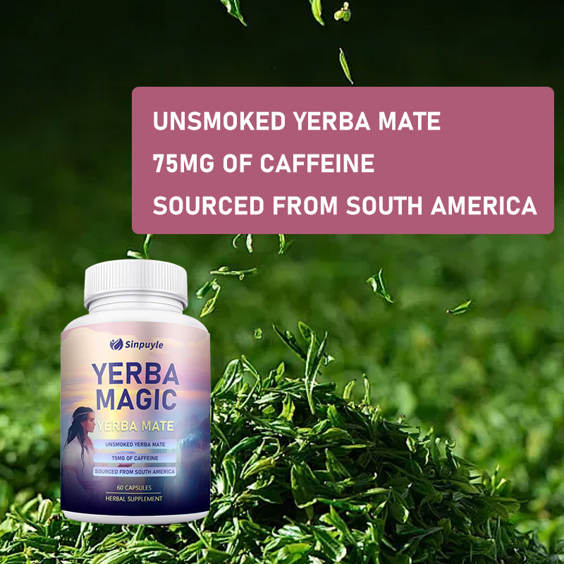 Yerba Mate Gut Health Supplement Capsules - 60 Count Natural Energy