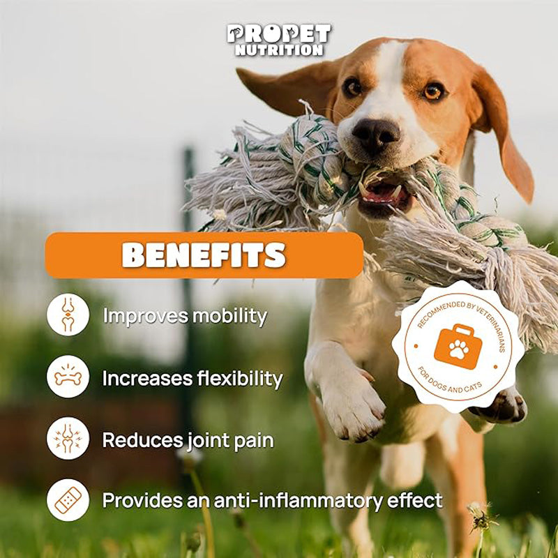 Dog and Cat Joint Supplement with Glucosamine, Chondroitin & MSM - Orange