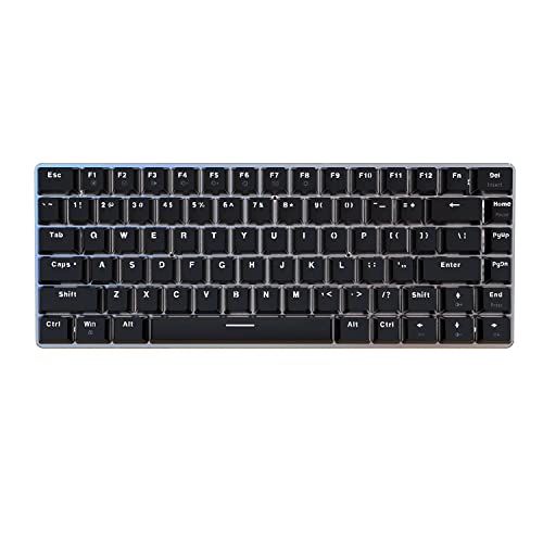 60% Mechanical Gaming Keyboard,Hot Swappable Compact 82 Keys Wired Mechanical Keyboard with White LED Backlit,Detachable Type-C Cable,Ergonomic Design,for Windows PC Gamers(Blue Switch,Black)