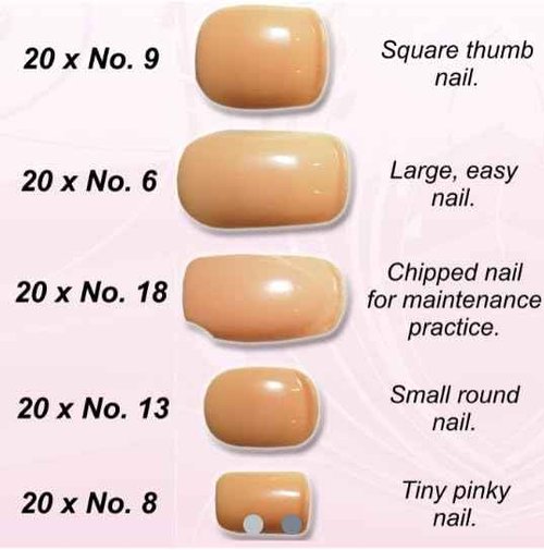 Essential Nails Nail Trainer® Practice Hand INCLUDES 6 Hour On-Line Competition Level Nail Art Tuition By A Champion Nail Artist, Nail Extensions, Nail Art Manicure Training Hand &100 Practice Nails