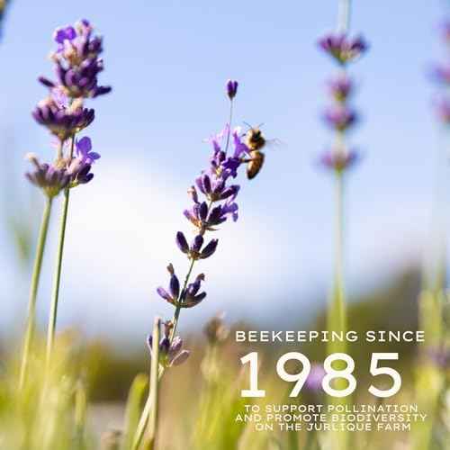 Jurlique. Lavender Body Oil