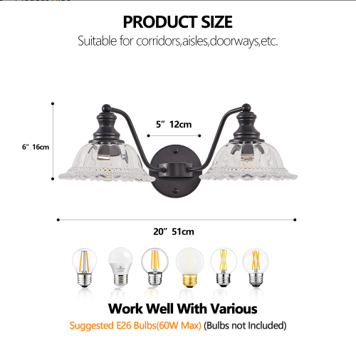 20 Inch 2-Light Vintage Bathroom Wall Sconce - Black Metal & Glass Vanity Light Fixture