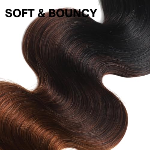 12A Chestnut Brown Ombre Body Wave Bundle Human Hair 26 Inch, T1B/2/30 3 Tone Brown Color Remy Hair Single 1 Bundle 100% Sew In Quick Weave Dark Roots Keep Soft Glossy after Washes