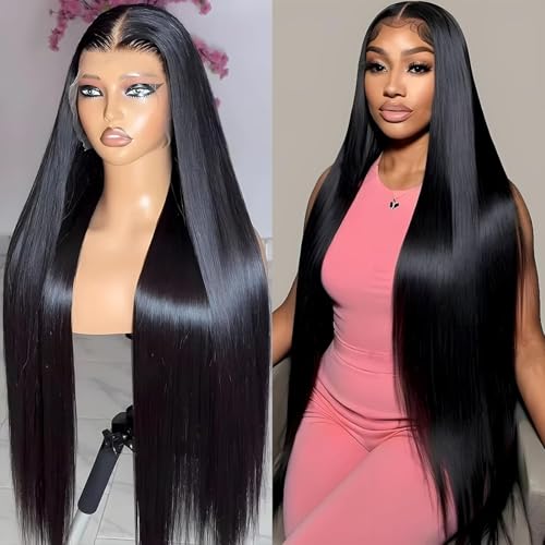 22Inch 13x6 Lace Front Wigs Human Hair 210 Density Straight HD Lace Front Wigs Human Hair Pre Plucked with Baby Hair Glueless Wig Virgin Hair Lace Front Wigs for Women (13X6 Straight Wig, 22Inch)
