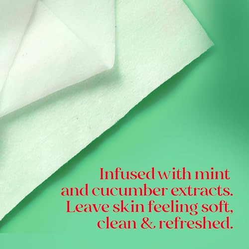 Burt's Bees Stocking Stuffers, Cucumber & Mint Face Wipes, for All Skin Types, Refreshing Makeup Remover & Facial Cleansing Towelettes, Skin Care Christmas Gifts, 30 Ct. (3-Pack)