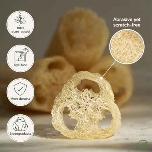 Chill Ah Natural Loofah Sponge Set ? 100% Plant-Based, Dye-Free, Biodegradable Bath Exfoliator for Glowing Skin ? Handcrafted in Vietnam (4-Pack)