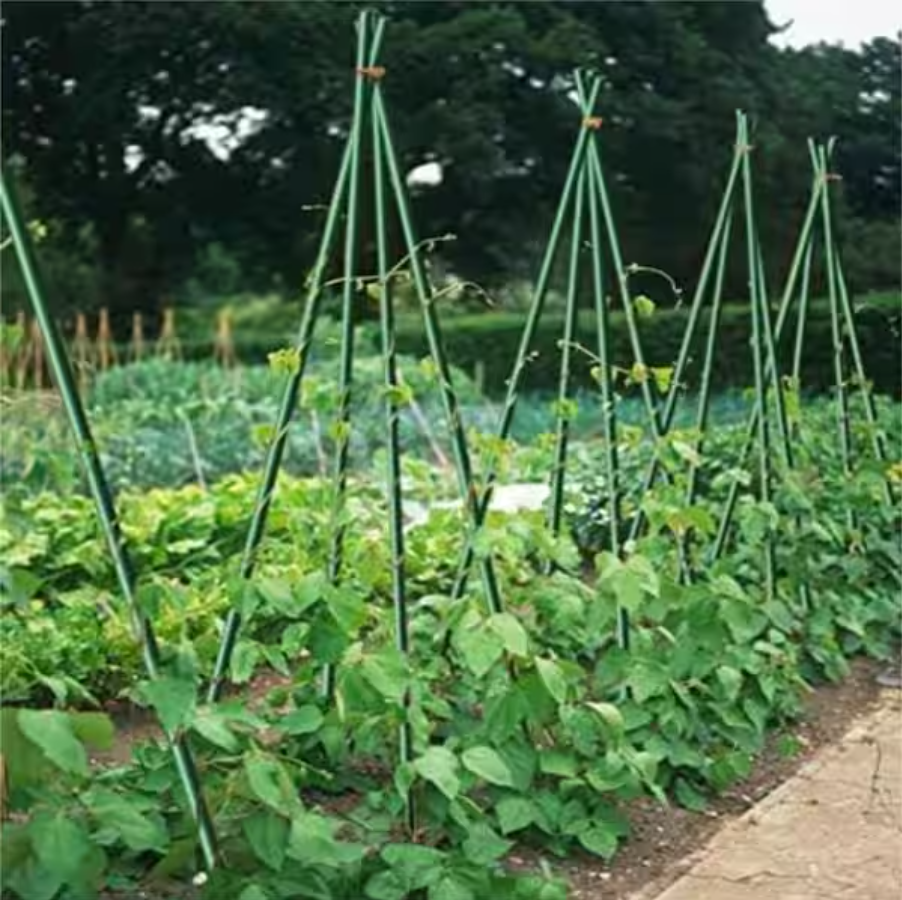 Fiberglass Round Rod Dark Green 20 Pieces for Garden and DIY Projects