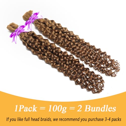 Miss Lee Human Braiding Hair for Boho Knotless Braids Bulk Curly Bundles Human Hair for Micro Braiding Wet and Wavy Water Wave No Weft Human Hair Extension for Box Boho Braids 100g with 2 Bundles 27#