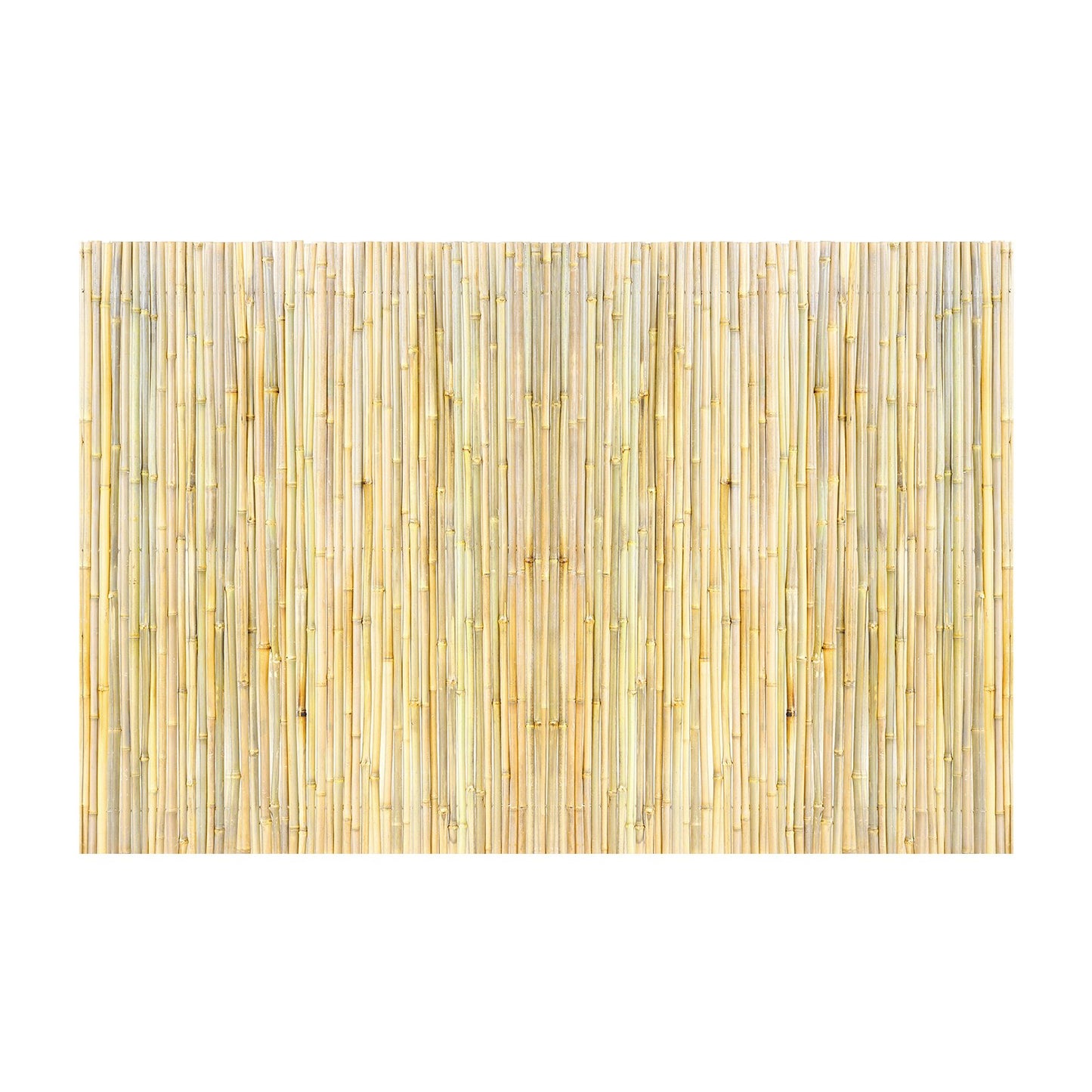 Natural Bamboo Fence Panel 6ft H x 8ft L Privacy Screen Garden Barrier