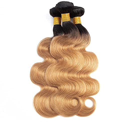Honey Blonde Body Wave Bundles Human Hair T1B/27 Ombre Bundles Double Weft Brazilian Human Hair Sew-In Weave Extensions 26 28 30 Inch£¨Black Ombre Honey Blonde£©