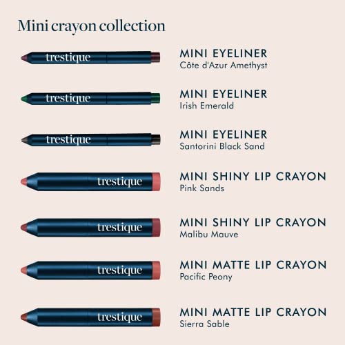 trestique Mini Eye Makeup and Lip Makeup Set