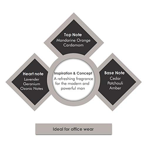 Porsche Design Palladium by porsche design eau de toilette, 3.4 Ounce